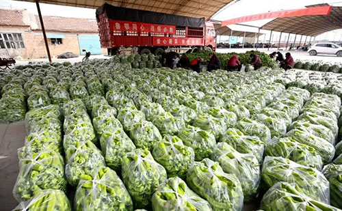 我是湖南長沙蔬菜批發(fā)市場，買多少錢的農(nóng)藥殘留檢測儀合適？