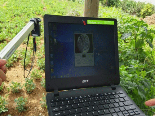 植物冠層圖像分析儀可以測量什么？